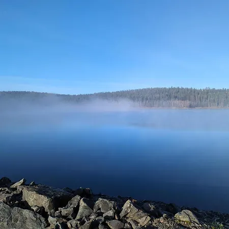 Le Cedre Bleu