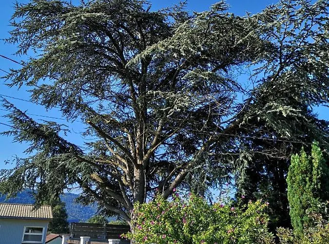 Le Cedre Bleu 3* Saint-Michel-sur-Meurthe