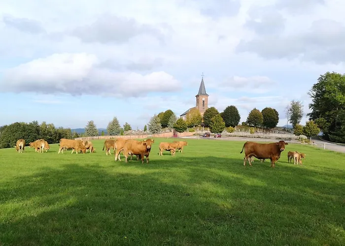 Le Cedre Bleu Saint-Michel-sur-Meurthe