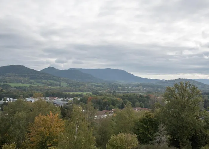 Le Cedre Bleu 3* Saint-Michel-sur-Meurthe