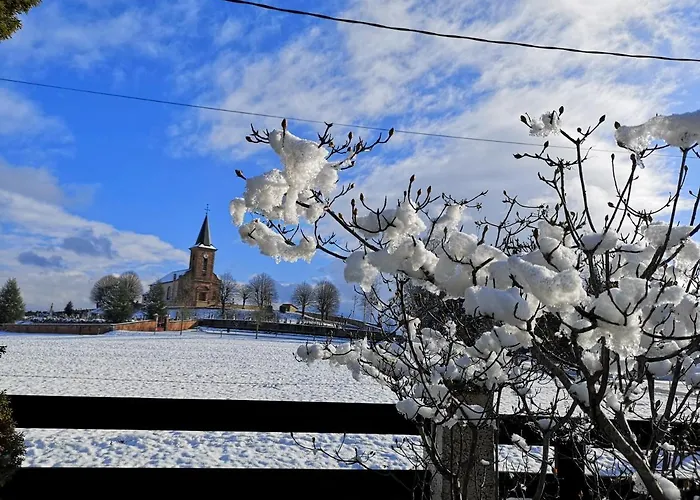 Le Cedre Bleu 3* Saint-Michel-sur-Meurthe
