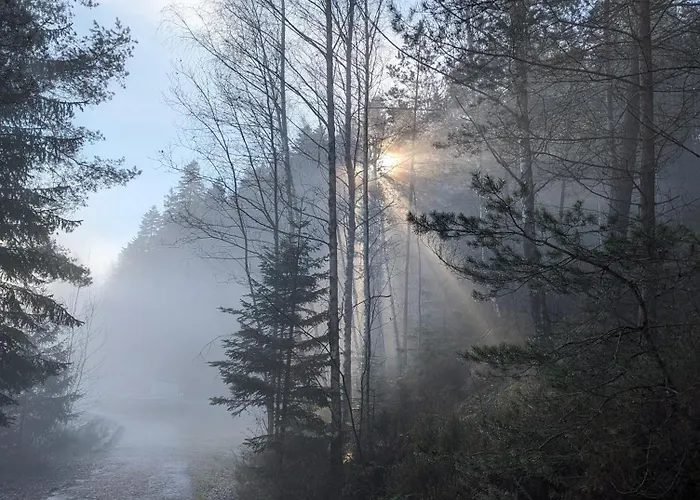 Le Cedre Bleu 3* Saint-Michel-sur-Meurthe